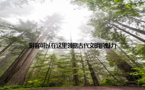 游客可以在这里领略古代文明的魅力