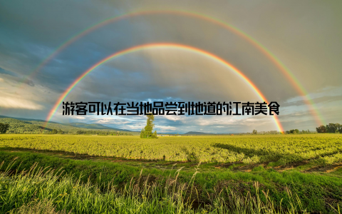 游客可以在当地品尝到地道的江南美食