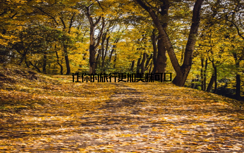 让你的旅行更加美味可口