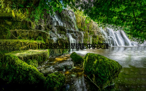 捕捉光影光影是摄影中的灵魂