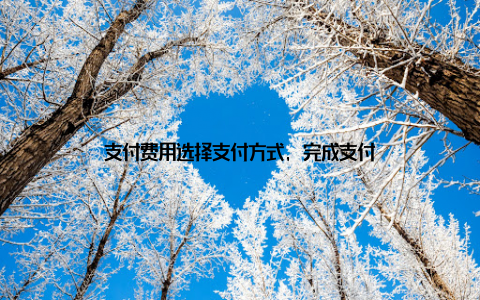 支付费用选择支付方式, 完成支付