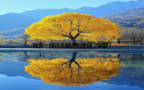 快来一场说走就走的泰国之旅吧!