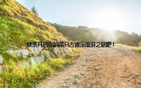 快来开启你的茶马古道深度游之旅吧!