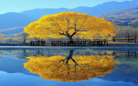 在这里, 你可以感受到艺术的魅力