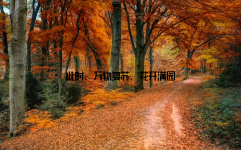 此时, 万物复苏, 花开满园