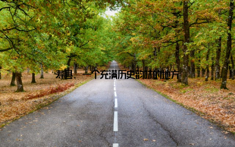 寿县, 一个充满历史韵味的地方