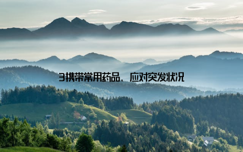 3携带常用药品, 应对突发状况