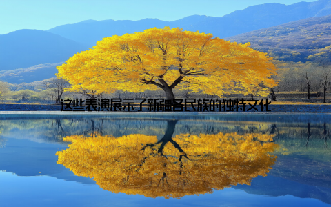 这些表演展示了新疆各民族的独特文化