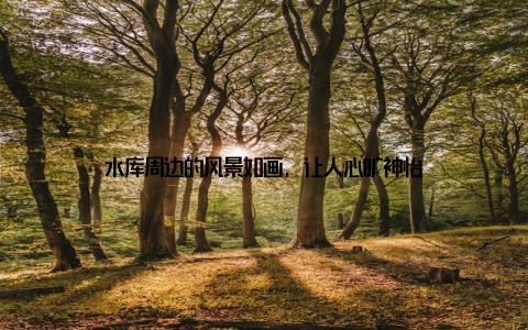 水库周边的风景如画, 让人心旷神怡