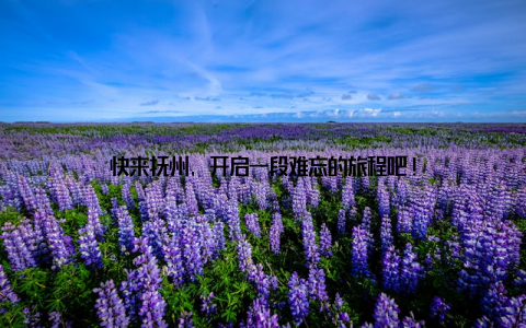 快来抚州, 开启一段难忘的旅程吧!