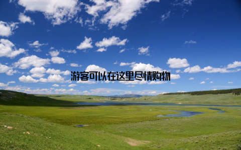 游客可以在这里尽情购物