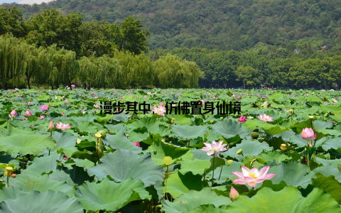 漫步其中, 仿佛置身仙境