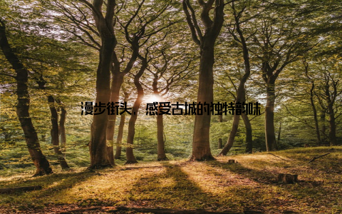 漫步街头, 感受古城的独特韵味