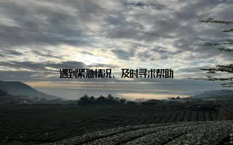 遇到紧急情况, 及时寻求帮助