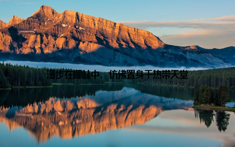 漫步在椰林中, 仿佛置身于热带天堂