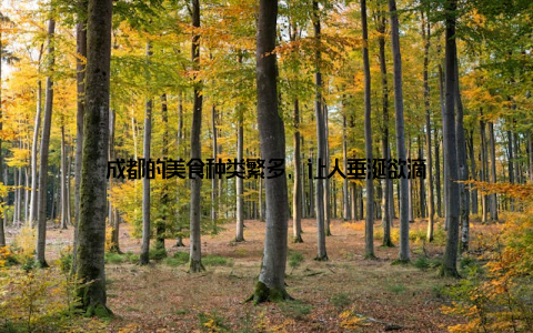 成都的美食种类繁多, 让人垂涎欲滴